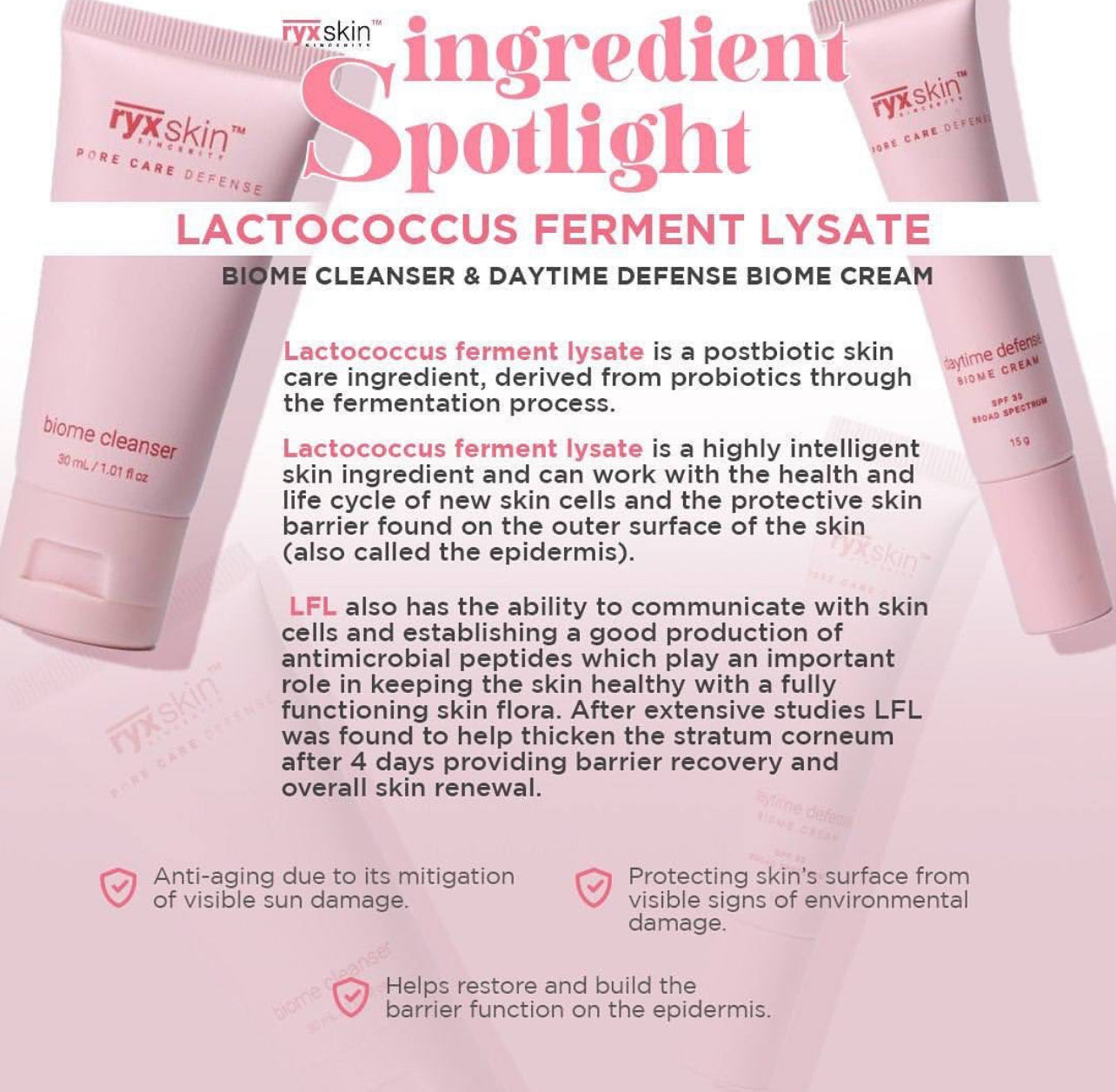 RYX Skin Pore Care Defense Set