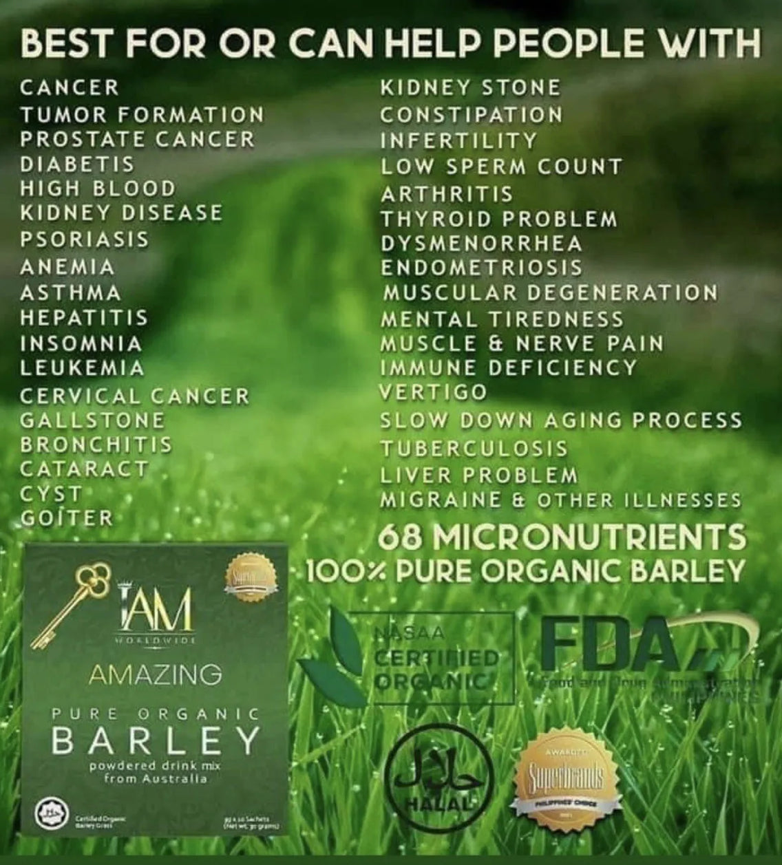 IAM Amazing Pure Organic Barley Powdered Drink 10s