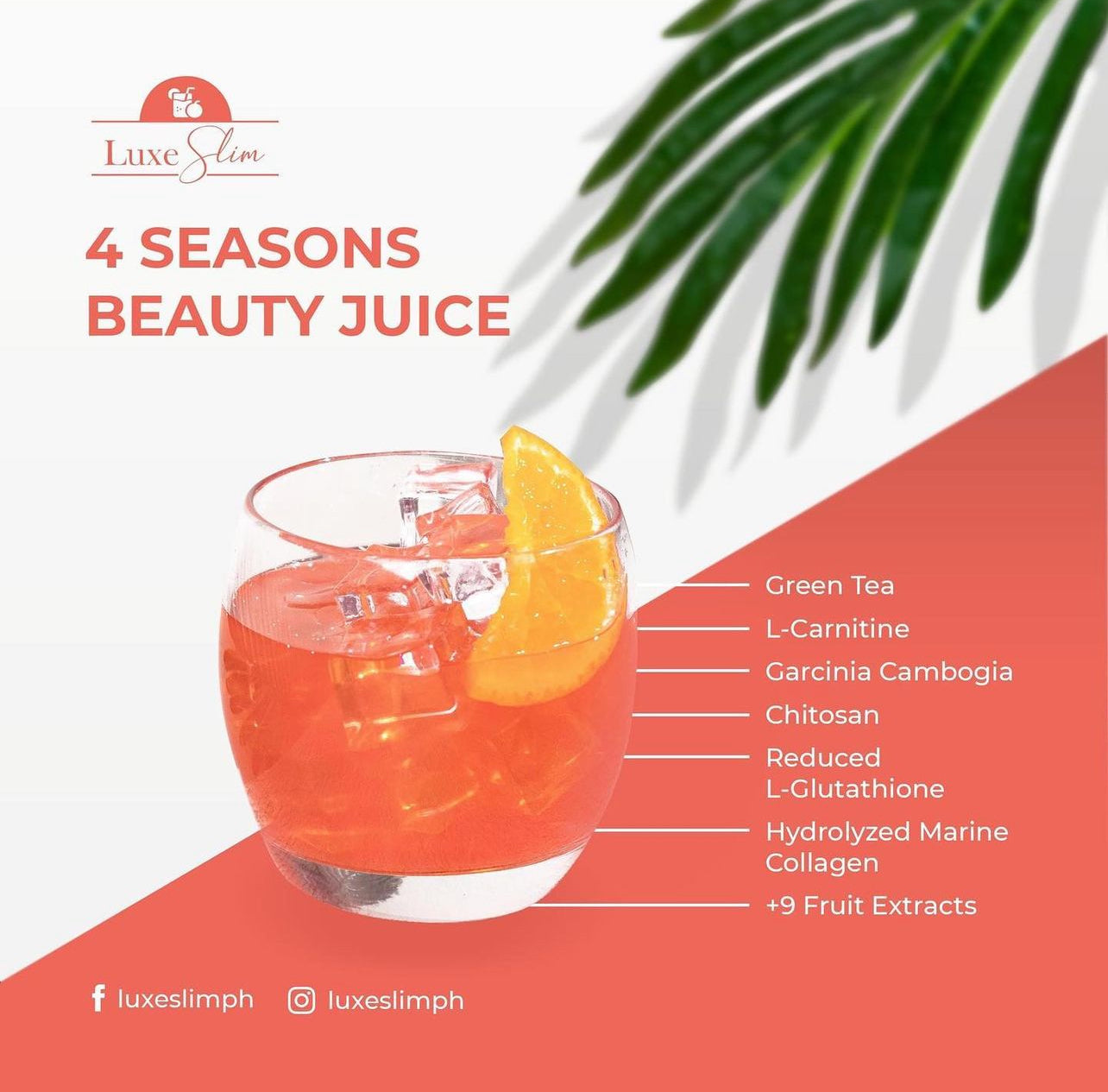 Luxe Slim Four Seasons Beauty Juice 8s