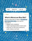 G21 Moroccan Blue Nila Powder Face & Body Mask 200g