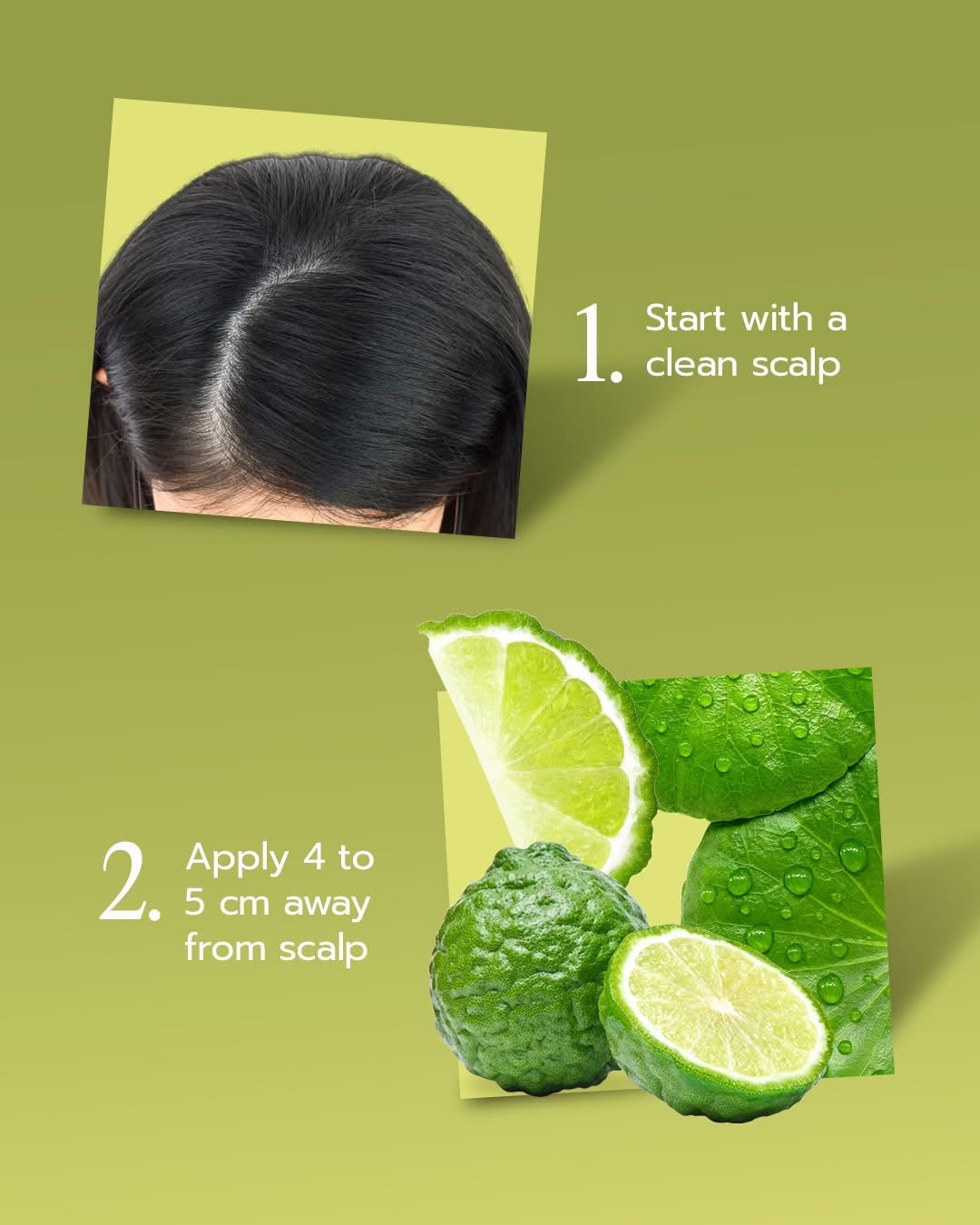 Khaokho Talaypu Leech Lime & Centella Herbal Shampoo (320ml) & Conditioner (280ml) Set