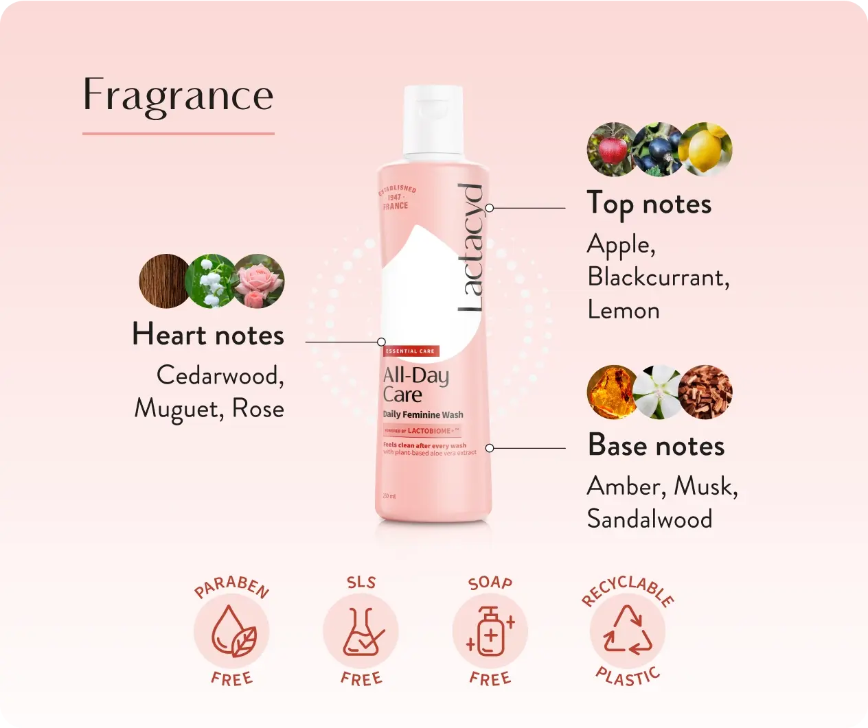 Lactacyd All-Day Care Feminine Wash 250ml