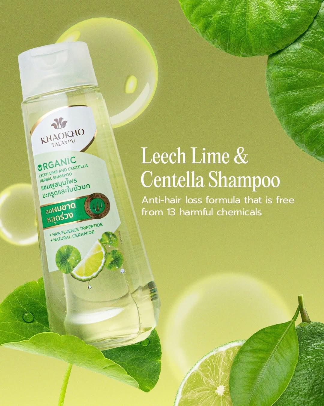 Khaokho Talaypu Leech Lime & Centella Herbal Shampoo (320ml) & Conditioner (280ml) Set