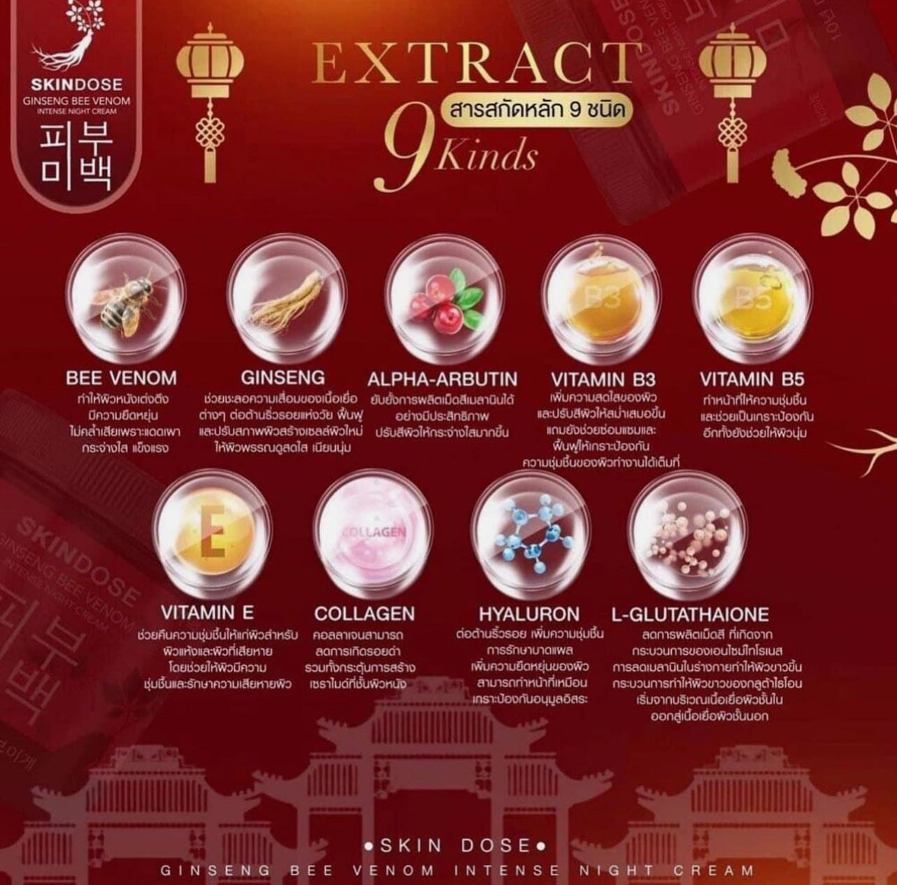Skindose Ginseng Bee Venom Intense Night Cream 400g
